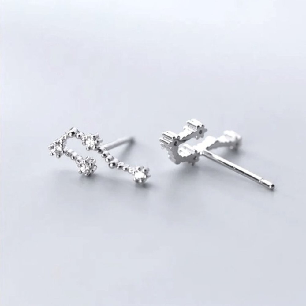 Aquarius Constellation Star Minimalist Astrology Zodiac Sign Silver Stud Earring